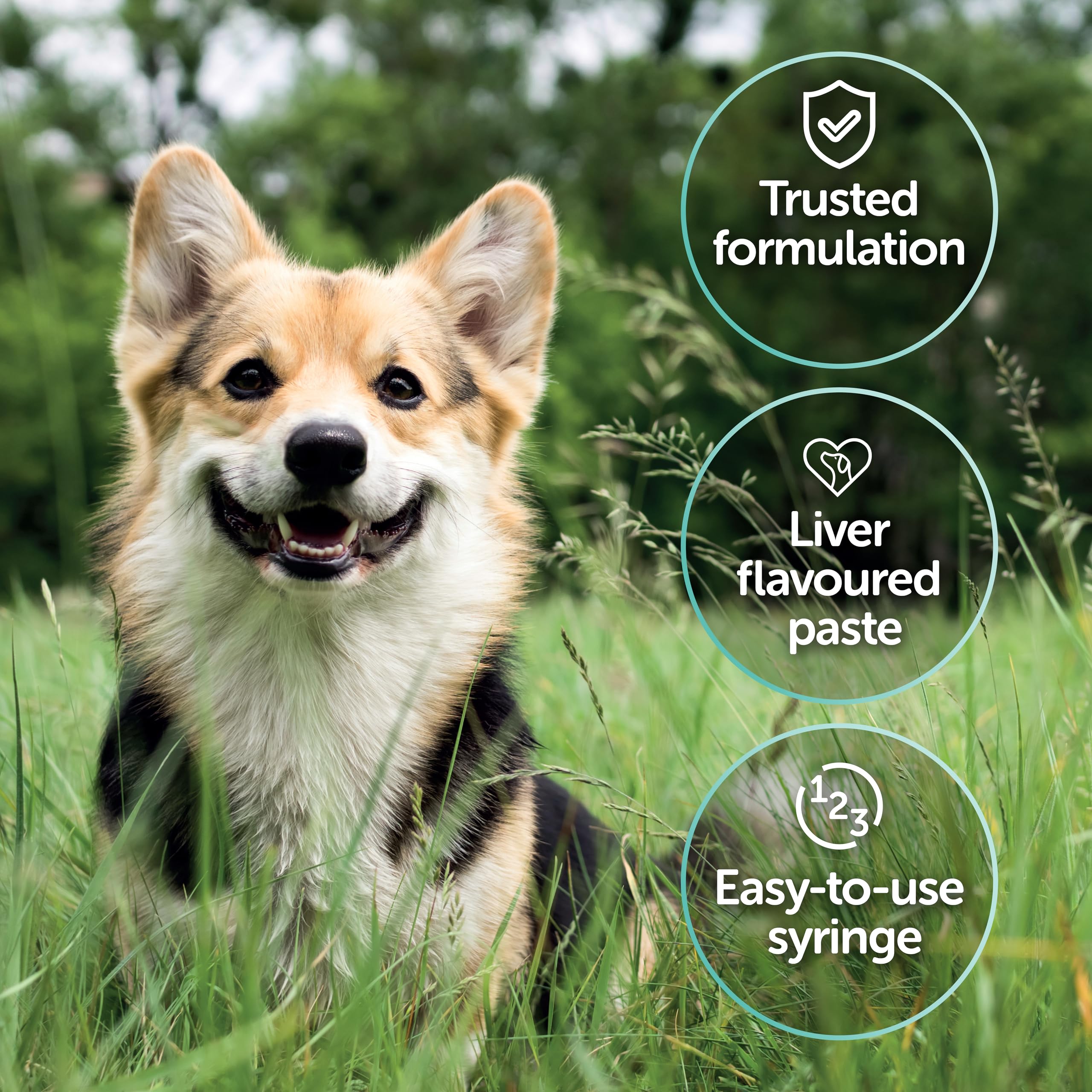 Protexin Pro-Kolin Advanced Digestive Paste for Dogs - 15ml Liver Flavor 4