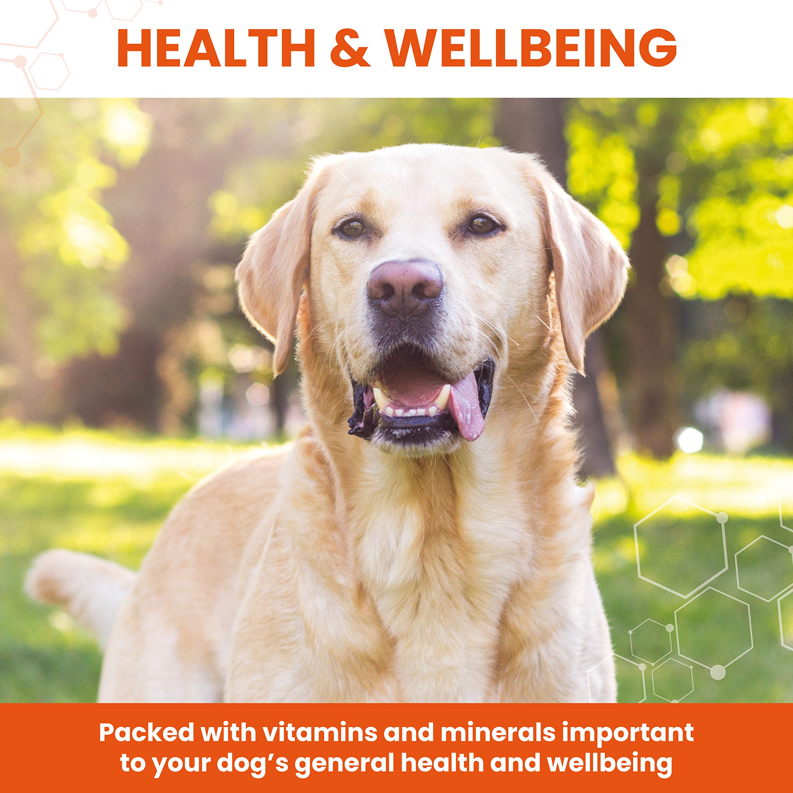 Vetzyme Once A Day Conditioning Tablets for Dogs - Multivitamin with B Complex | 30 Count 3