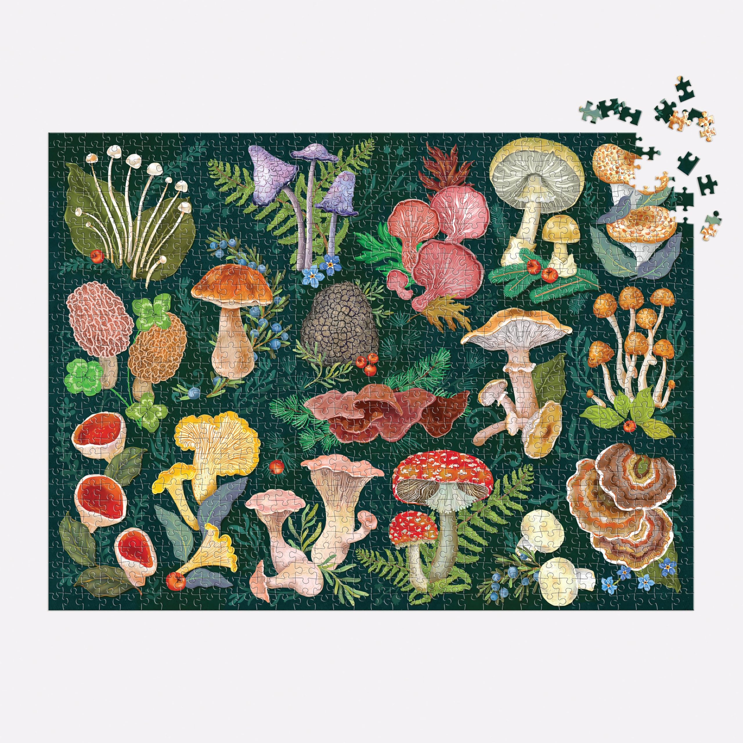 Galison World of Mushrooms 1000 Piece Jigsaw Puzzle | Features Glossary of Species 4
