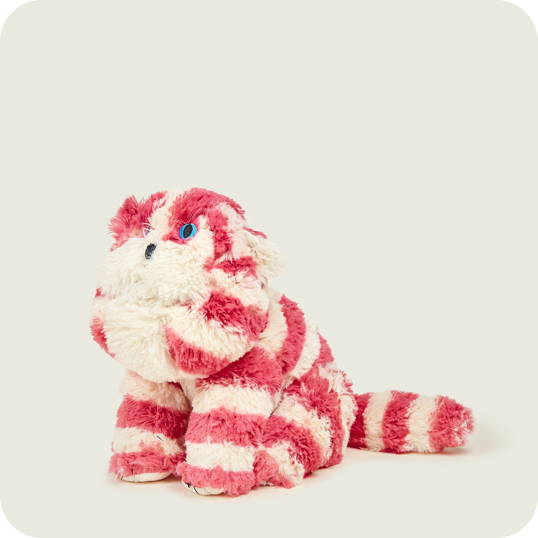 Warmies Bagpuss Cat