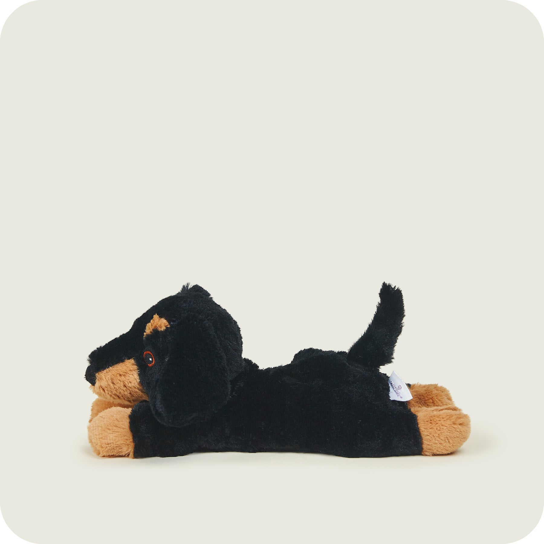 Warmies Junior Dachshund Plush - Microwavable Lavender Scented Heatable Toy (9") 3