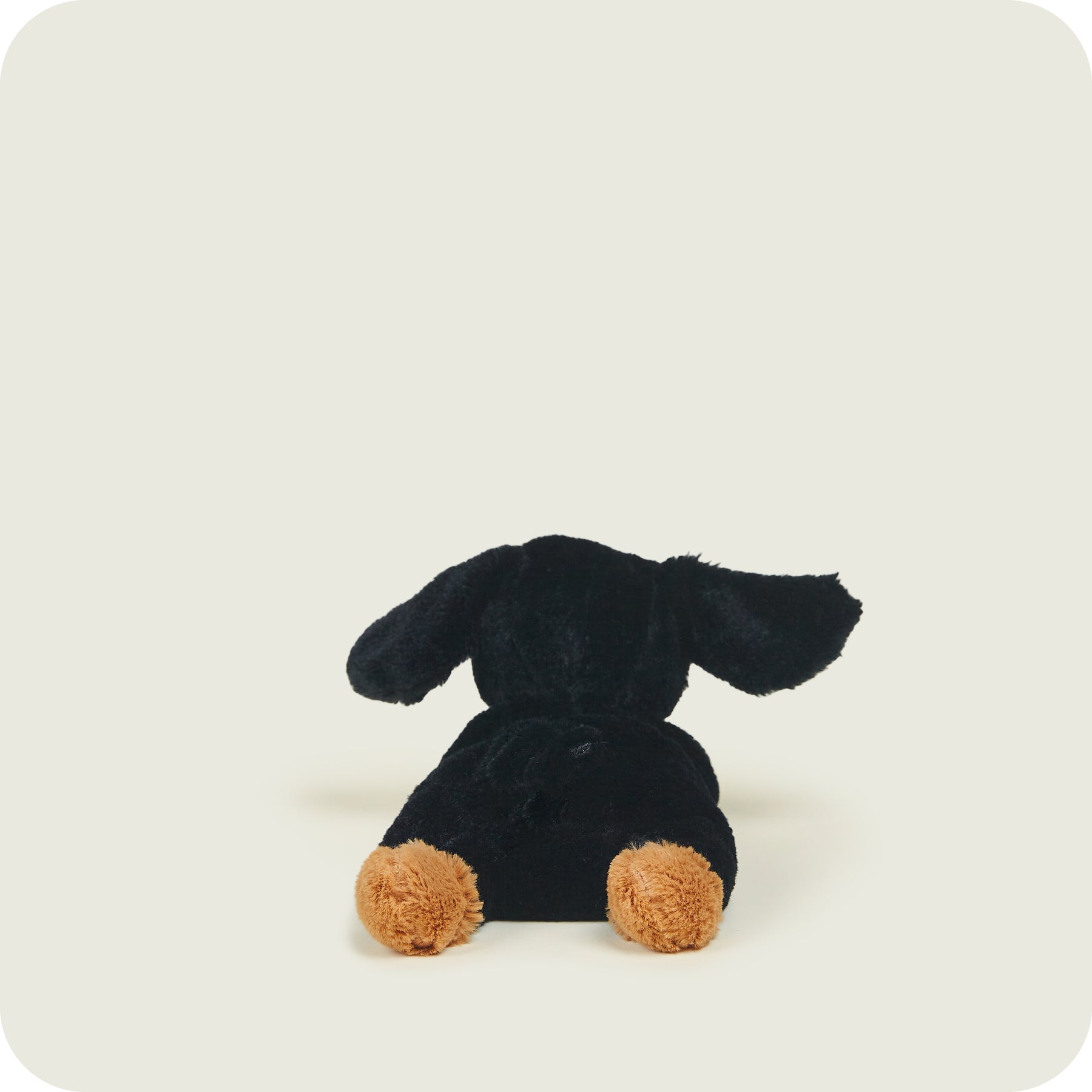 Warmies Junior Dachshund Plush - Microwavable Lavender Scented Heatable Toy (9") 4