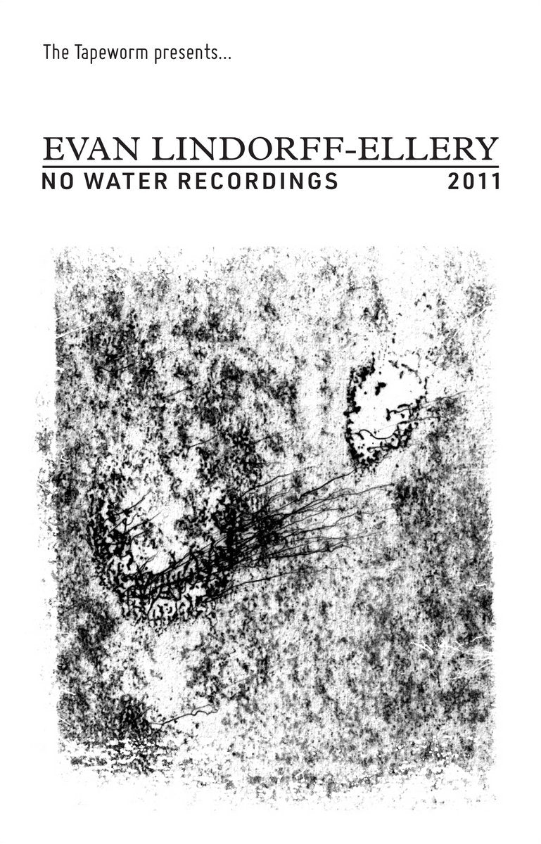 No Water Recordings 2011 [Audio Cassette]