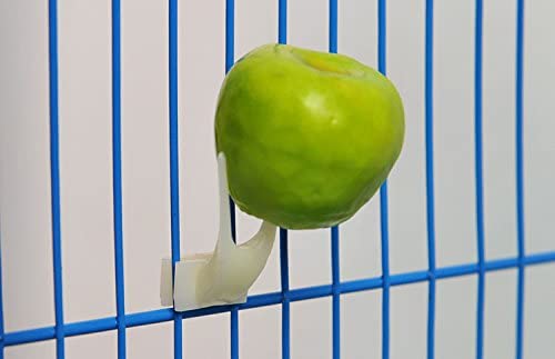 Olly technics 2 PCs/lot Hot Sale Pet Parrot Fruit Fork Birds Set On The Cage Con