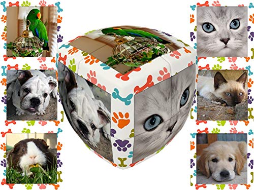 V-Cube "2 Essential-Pets Cube (Multi-Colour)