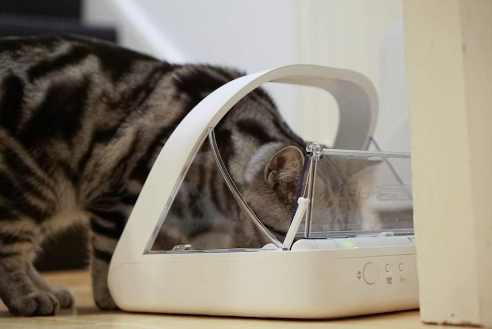 Sure Petcare - SureFeed Microchip Pet Feeder (White) - Model 194705 3