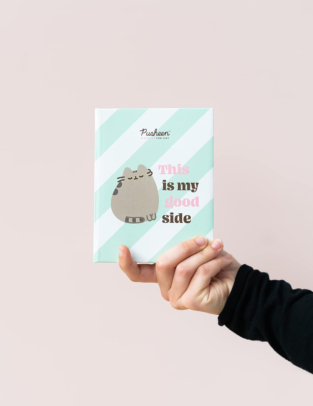 Grupo Erik Official Pusheen Photo Album - 6x4 Photo Album / 10x15 cm - Family Photo Album 100 Pockets