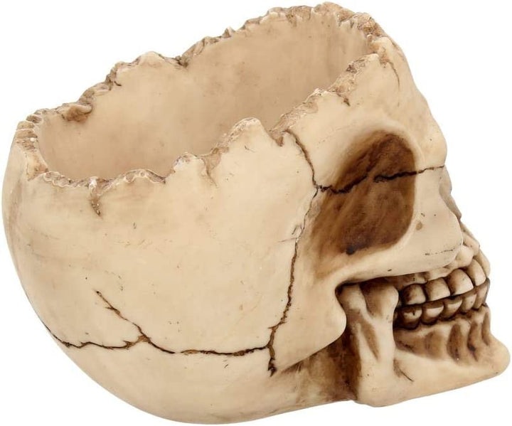 Nemesis Now Lobo Ashtray 13.5cm Ivory