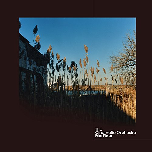 Ma Fleur - Cinematic Orchestra  [Audio CD]