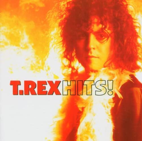 The Very Best of T-Rex [Audio CD]