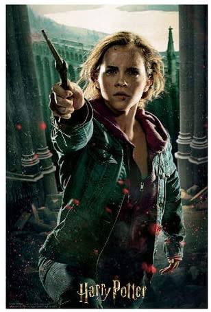 Harry Potter HP33008 3D Effect 300 Piece Hermione Granger Puzzle, Multicoloured