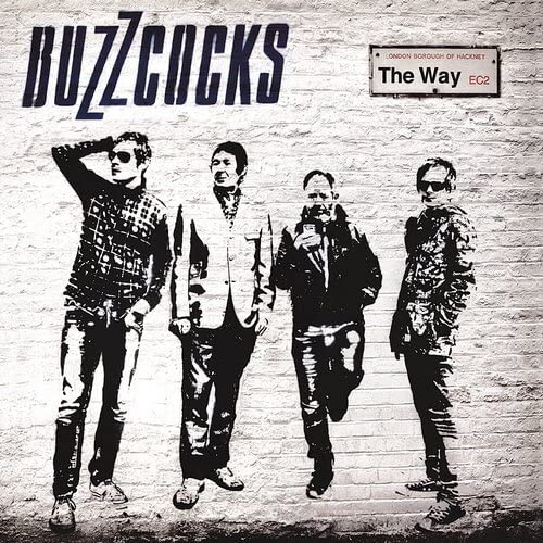 Buzzcocks - The Way [VINYL]