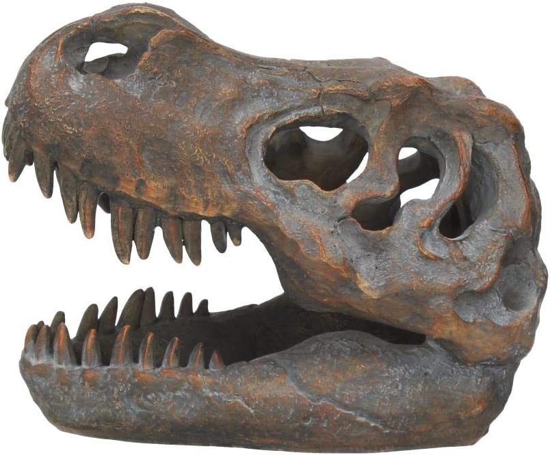 Nemesis Now Tyrannosaurus Rex Skull Freestanding Figurine 18.5cm Grey