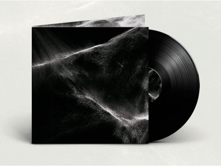 Final Light [VINYL]