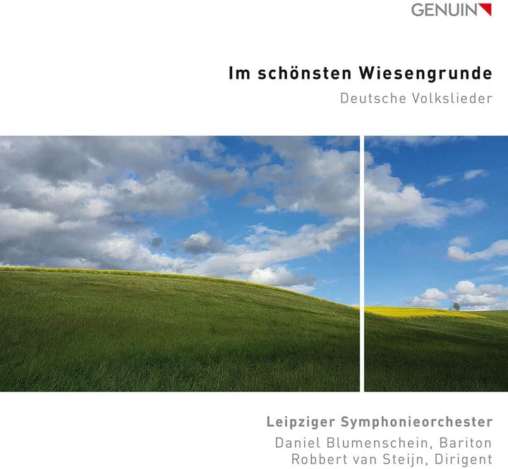 Im Schonsten Wiesengrunde [Leipziger Symphonieorchester; Daniel Blumenschein; [Audio CD]