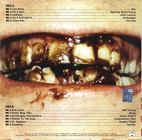 Ty Segall - Fudge Sandwich [VINYL]