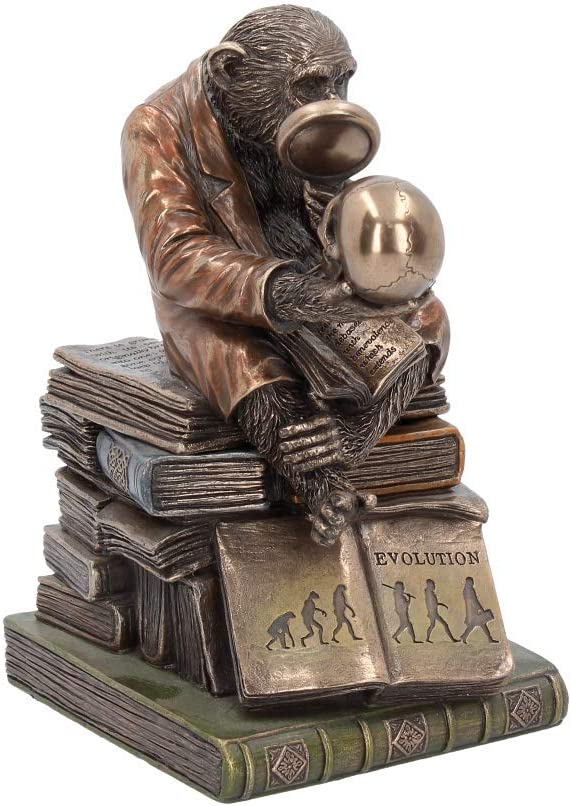 Nemesis Now Darwinism of Evolutionary Theory Box 17.5cm Bronze, Resin