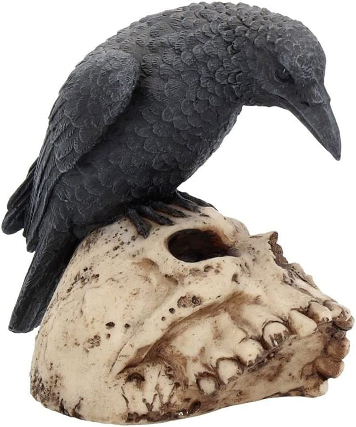 Nemesis Now Ravens Remains NEM2834 Bird on Skull 13 Centimetres Multicoloured