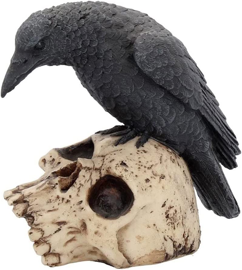 Nemesis Now Ravens Remains NEM2834 Bird on Skull 13 Centimetres Multicoloured