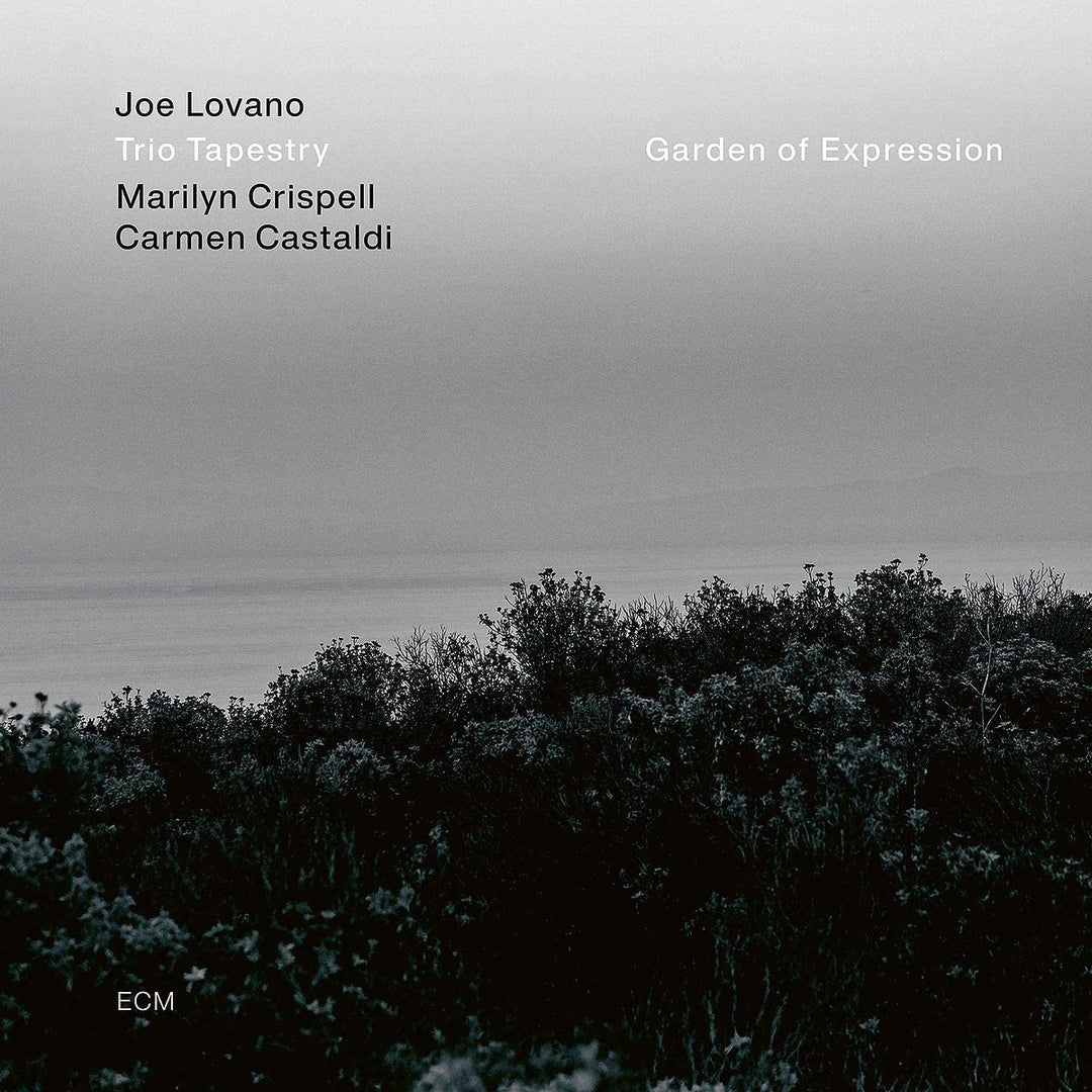 Joe Lovano - Garden of Expression [Vinyl]