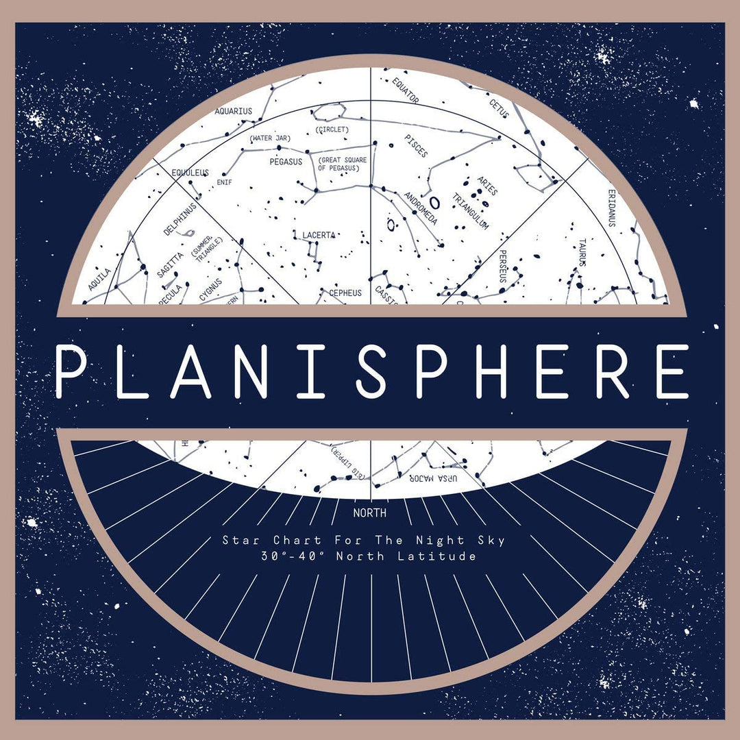 PLANISPHERE [Vinyl]