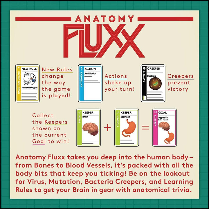 Anatomy Fluxx Family Card Game | Ages 12+ | 2-6 Players