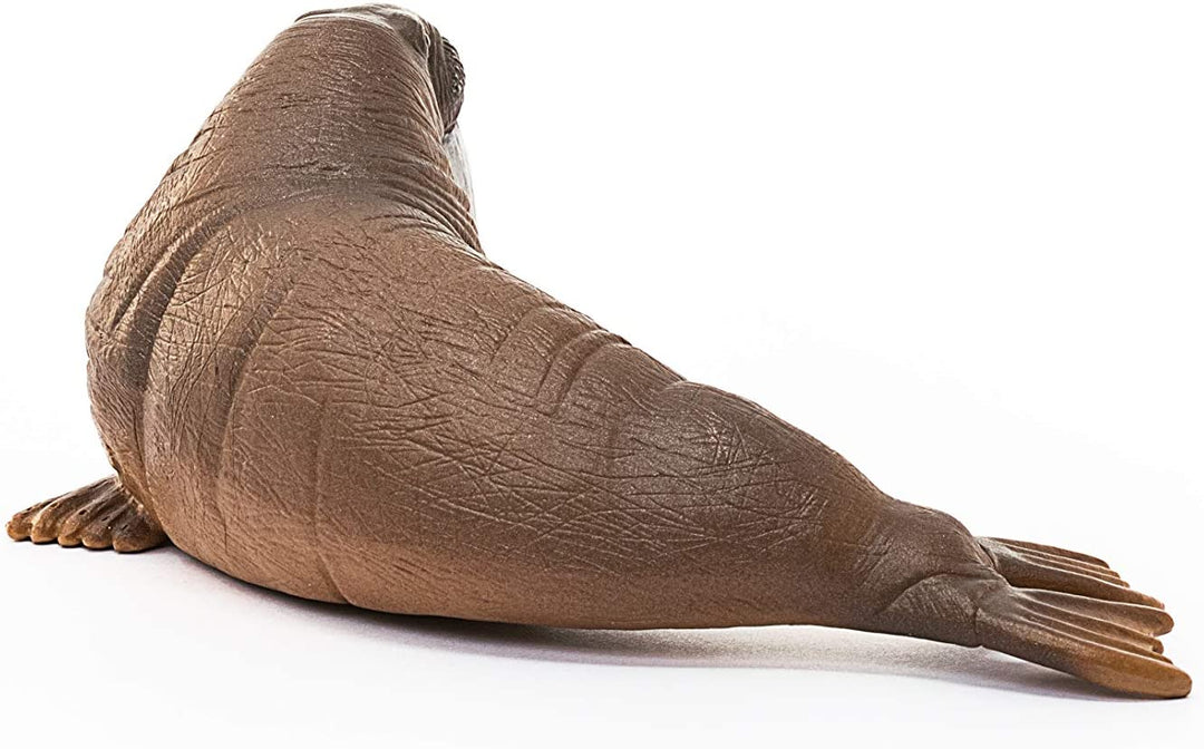 Schleich 14803 Walrus