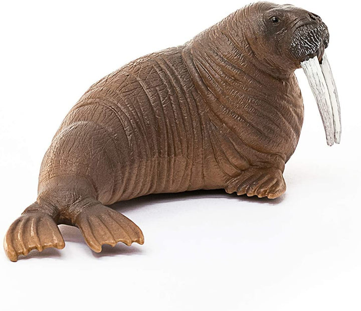 Schleich 14803 Walrus