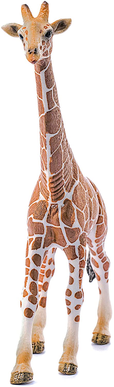 Schleich 14749 Giraffe, Man