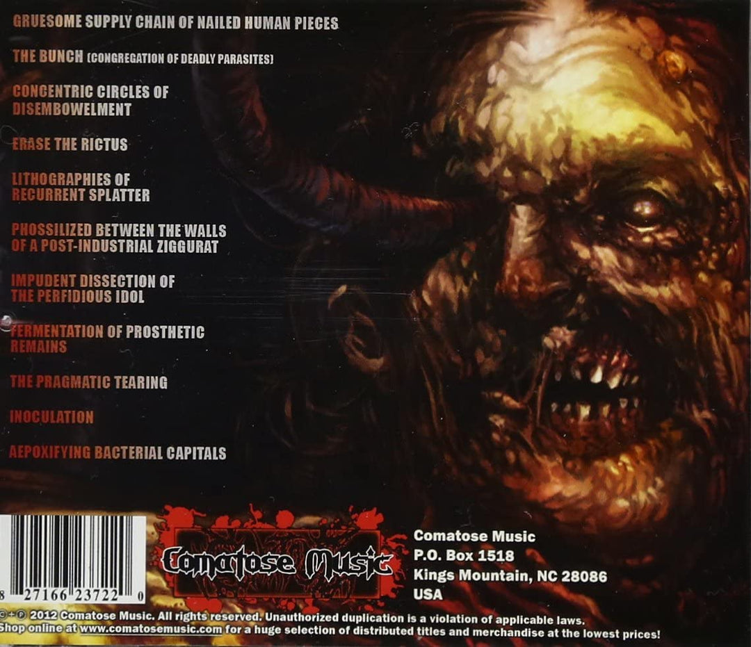 Infected Flesh - Concatenation of Severe.. [Audio CD]