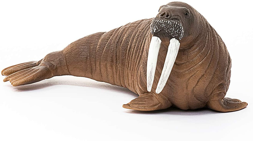 Schleich 14803 Walrus