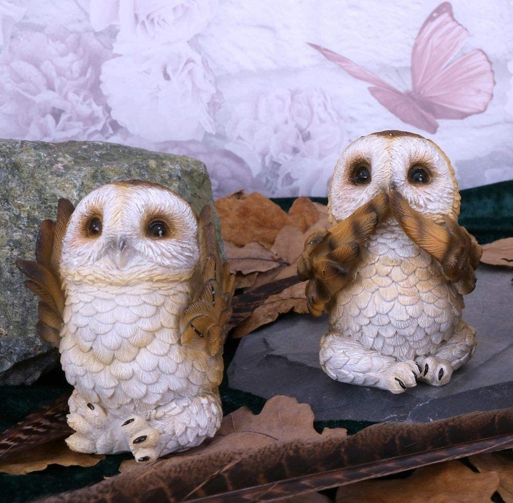 Three Wise Brown Owls