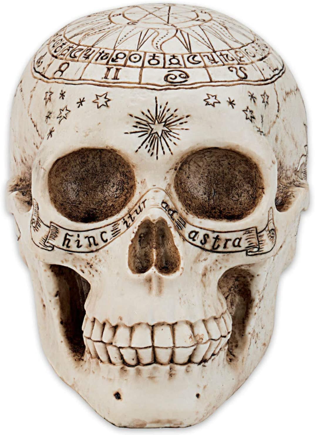 Nemesis Now Astrological Skull Figurine 29cm Ivory