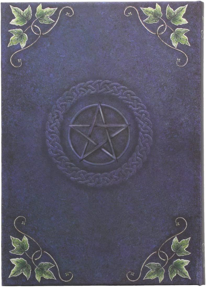 Nemesis Now Embossed Book of Shadows Ivy 17cm, Coated, Wood Free Paper, Blue