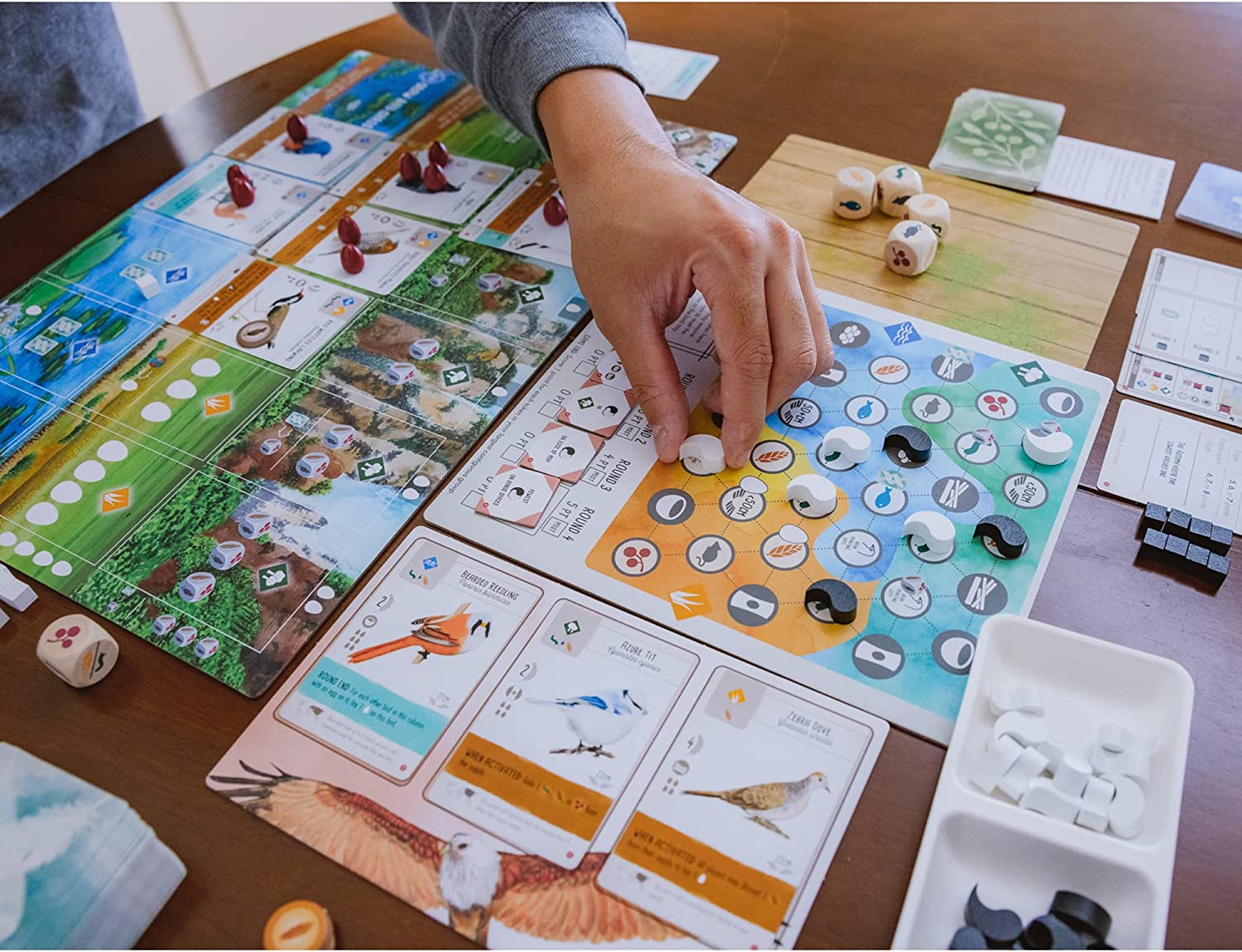 Stonemaier Games Wingspan: Asia Standalone Expansion 4