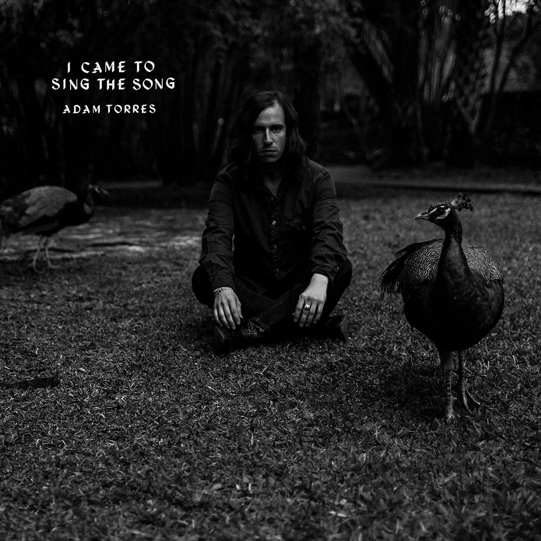 Adam Torres - I Came To Sing the Song [Audio CD]