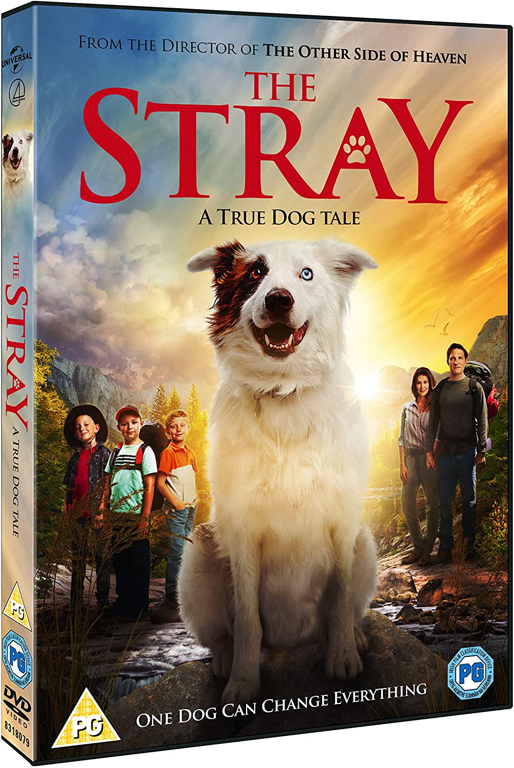 The Stray - Drama [DVD]