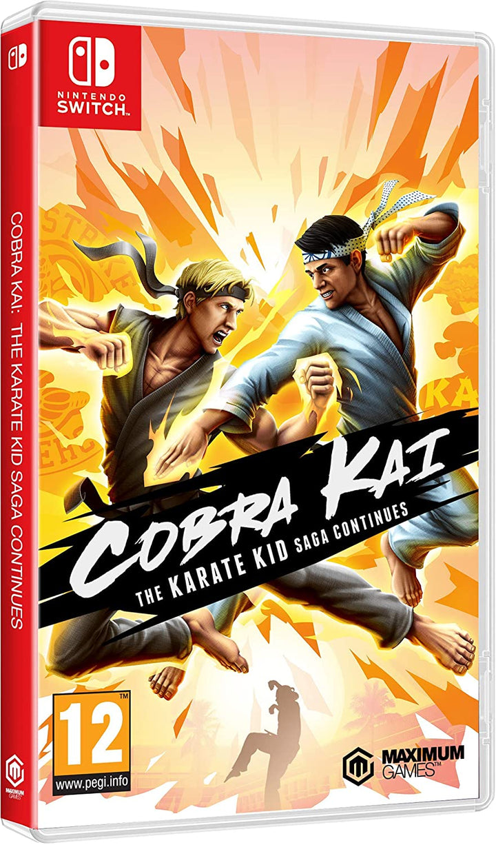 Cobra Kai The Karate Saga Continues (Nintendo Switch)