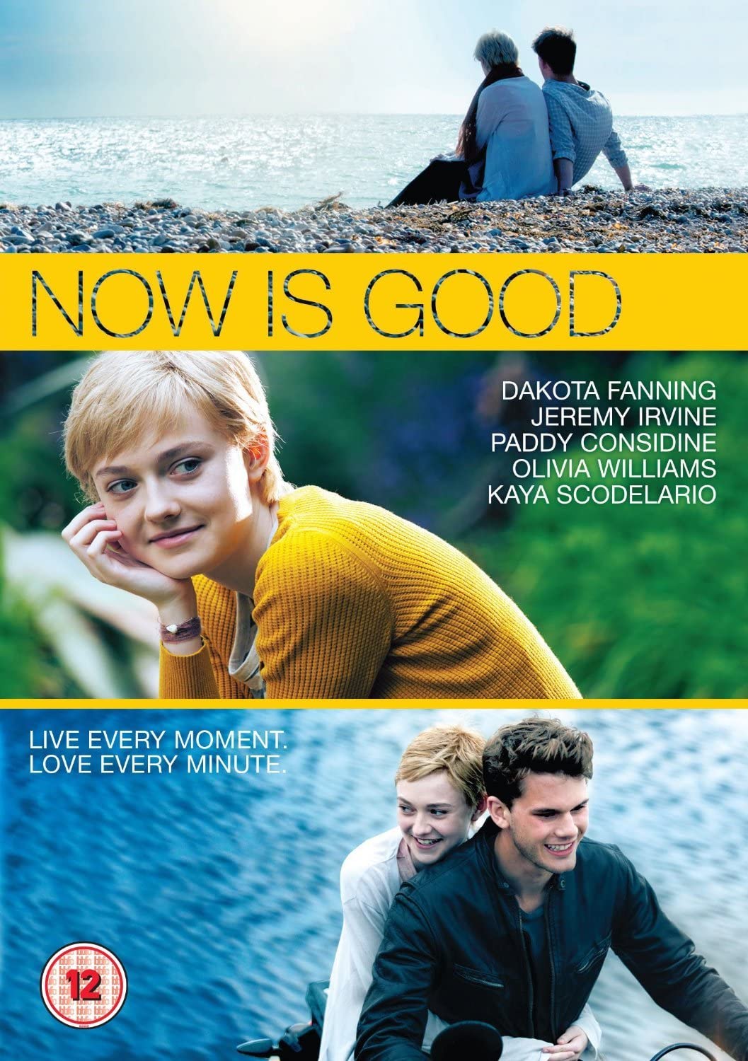 NOW IS GOOD - CAT S) - Romance/Drama  [DVD]