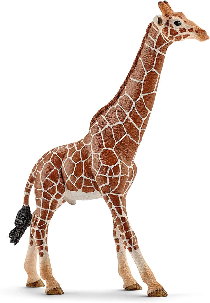 Schleich 14749 Giraffe, Male