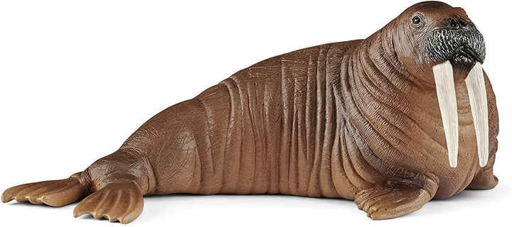 Schleich 14803 Walrus