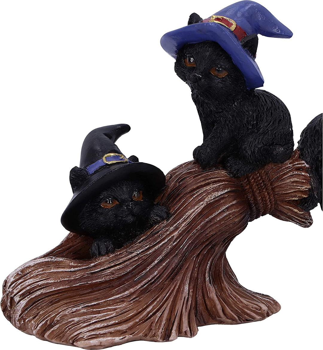 Nemesis Now Purrfect Broomstick Witches Familiar Black Cats and Broomstick Figur