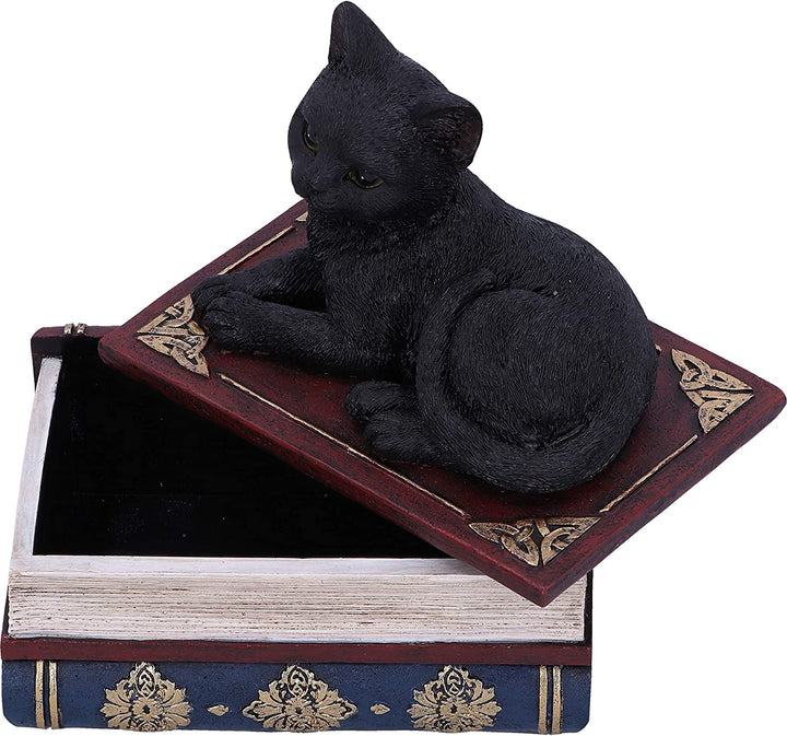 Nemesis Now Salems Spells Witches Familiar Black Cat and Spellbook Box, 11.7cm