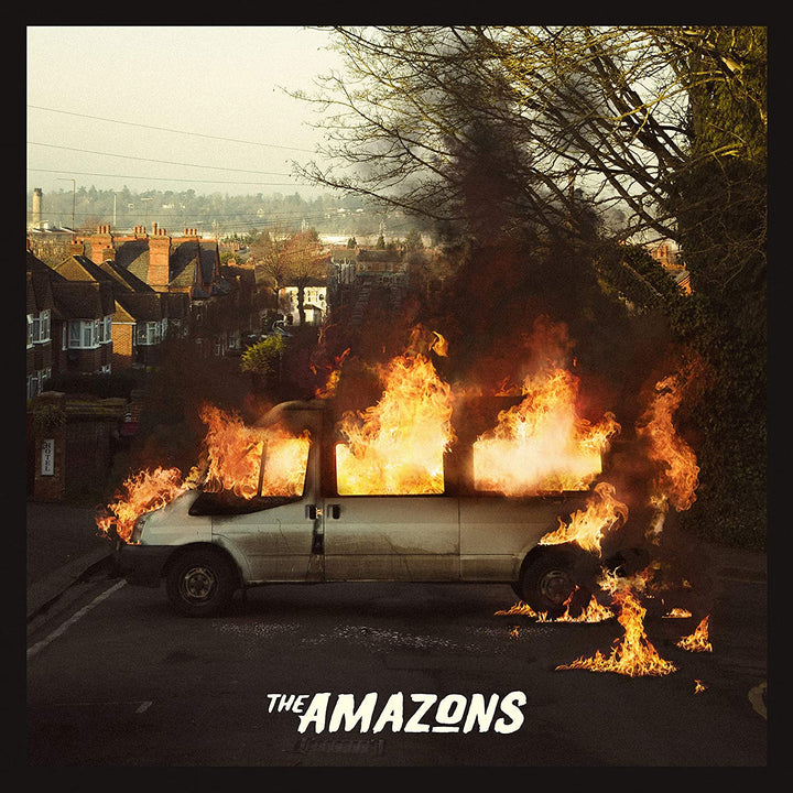 The Amazons