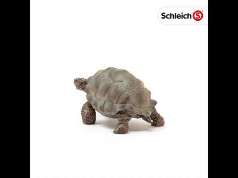 Schleich 14824 Giant Tortoise Wild Life