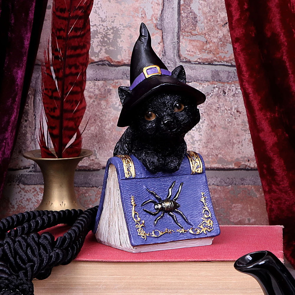 Nemesis Now Wiccan & Witchcraft Collection - Hocus Small Witches Familiar Black Cat and Spellbook Figurine