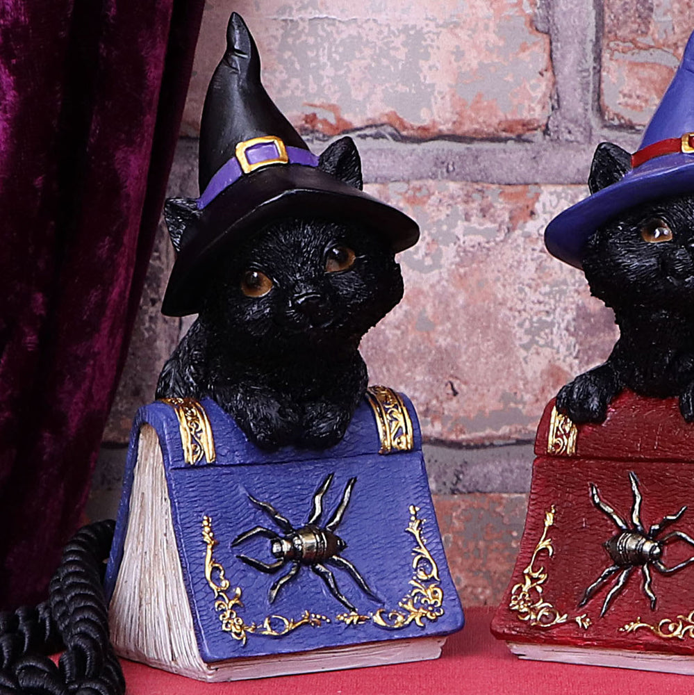 Nemesis Now Pocus Small Witches Familiar Black Cat and Spellbook Figurine 12.7cm