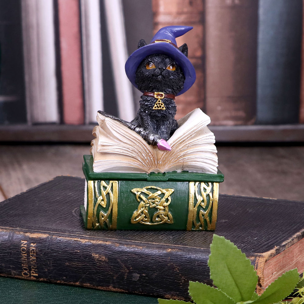 Nemesis Now Wiccan & Witchcraft - Binx Small Witches Familiar Black Cat and Spellbook Figurine Box